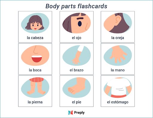 Spanish Flashcards: 75+ Free Printable Templates